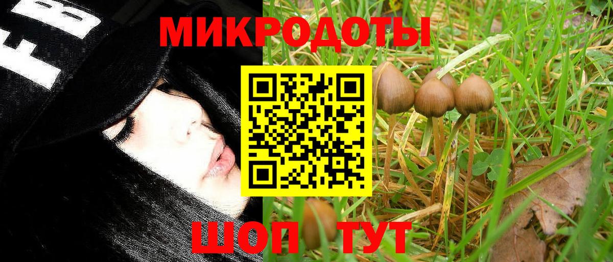 Мелеуз  купить наркотик  Вход с VPN  Галлюциногенные грибы мухоморы 